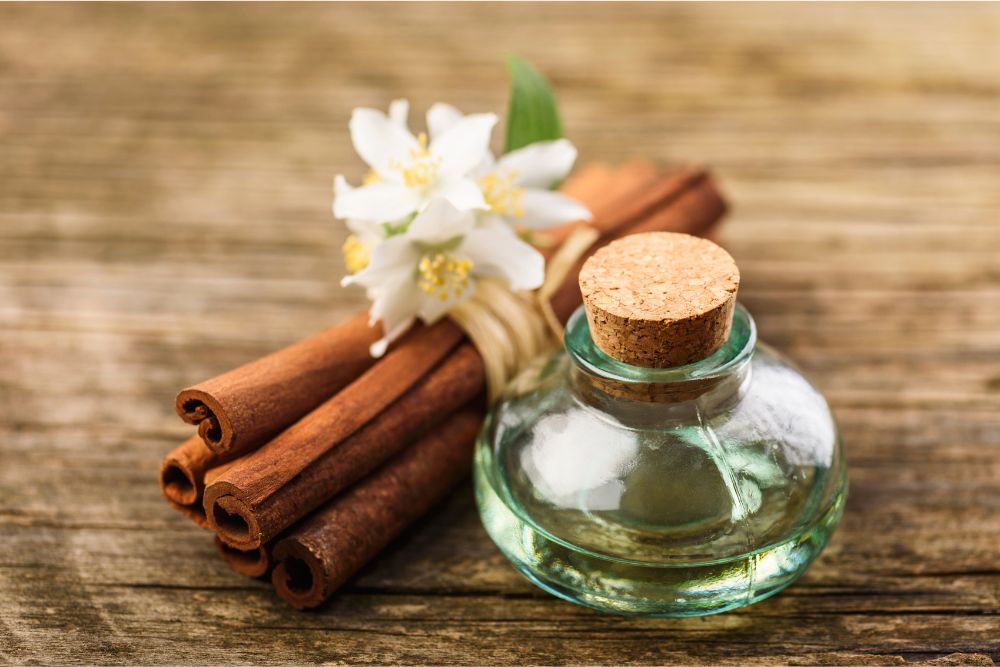 Manuelle Ernte aromatischer Pflanzen für die Herstellung seltener ätherischer Öle
