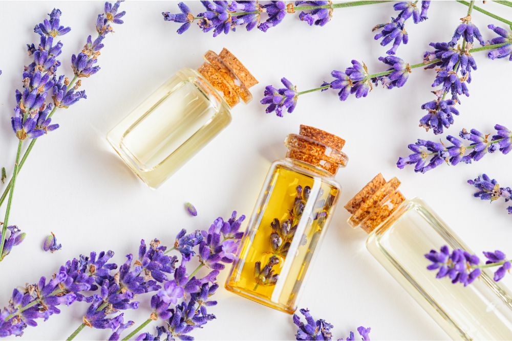 Ätherisches Lavendelöl in dunkler Flasche mit frischem Lavendel - natürliche Aromatherapie