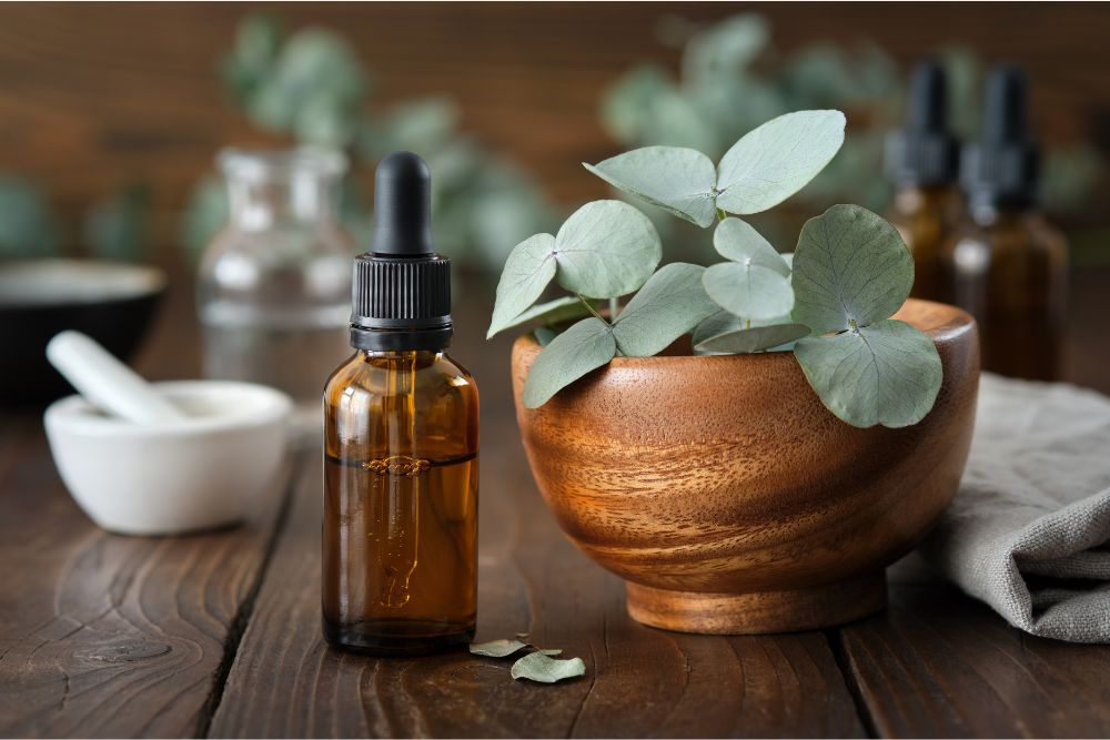 Eukalyptuszweige mit Fläschchen Eukalyptusöl für Aromatherapie