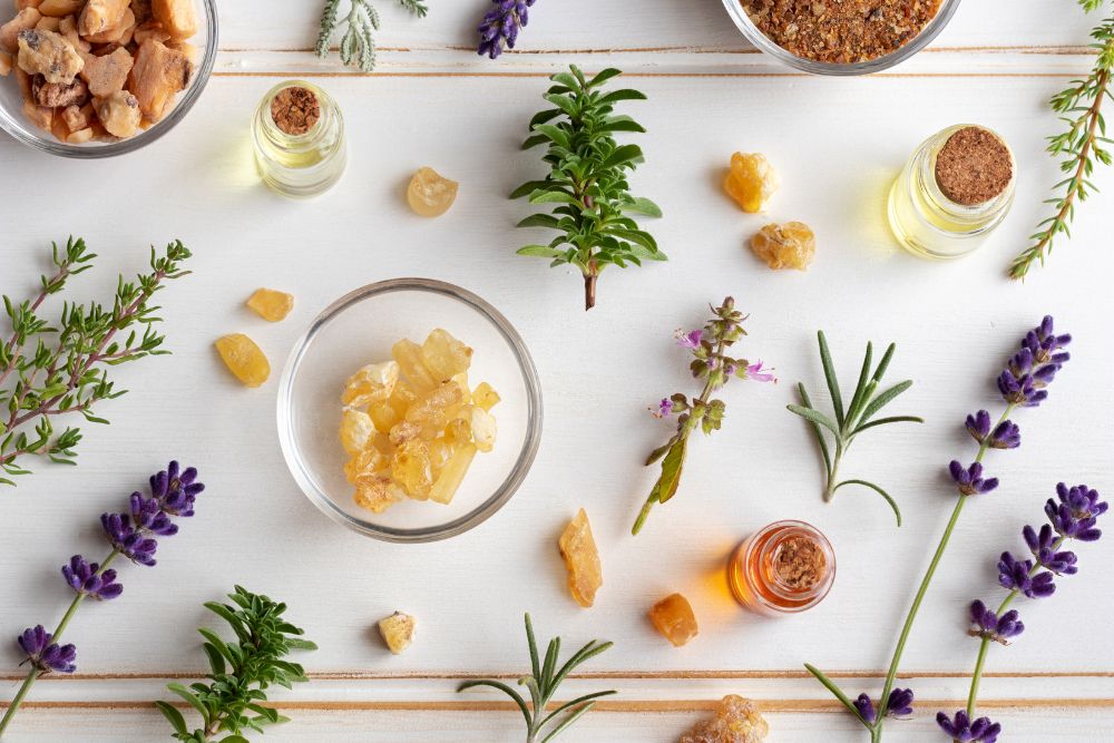 Flaschen mit ätherischen Ölen umgeben von frischen Kräutern und Blüten für die Aromatherapie