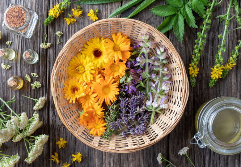 Traditionelle chinesische Aromatherapie mit ätherischen Ölen und Kräutern auf einem Holztisch